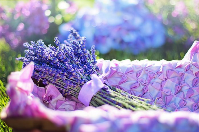 stress relief lavender