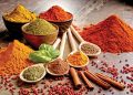 Spices for Indian Dishes gives the body various benefits