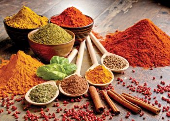 Spices for Indian Dishes gives the body various benefits