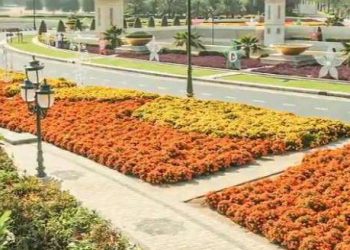 A huge number of blossoms sprout across Dubai