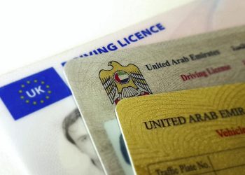 Vehicle License