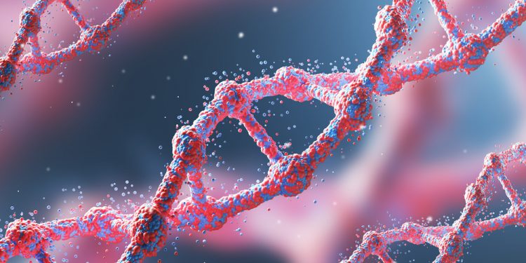 New study decodes Middle East’s genetic history