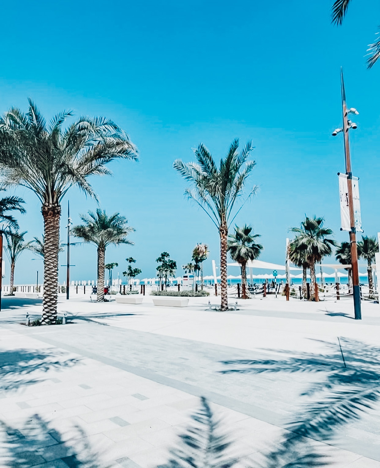 Soul Beach In Abu Dhabi A Stunning Beach That Is Gaining Immense