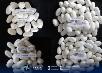 Filipino Researchers Develop Four New Silkworm Hybrids