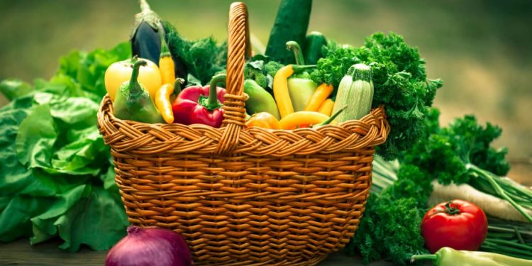 Small vegetable garden ideas
