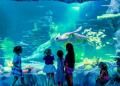 All That You Must Know About Abu Dhabi National Aquarium