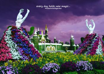 Get ready! The new and improved Miracle garden is reopening soon!