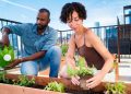 10 Best Vegetables to Grow in Your Container Garden.