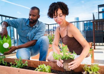 10 Best Vegetables to Grow in Your Container Garden.
