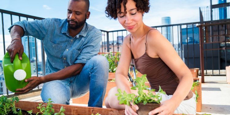 10 Best Vegetables to Grow in Your Container Garden.