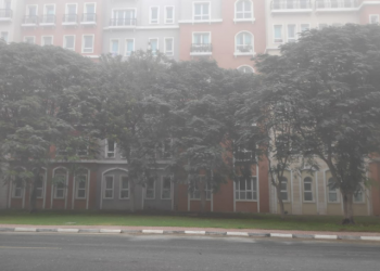 Yellow Alert Declared By NCB For The Rough Sea In UAE