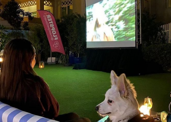 Enjoy a dog movie night at this outdoor cinema in Riva Beach Club