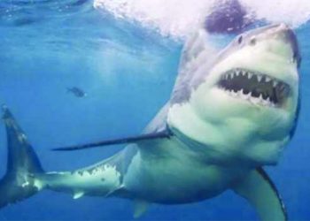 File photo used for illustrative purpose